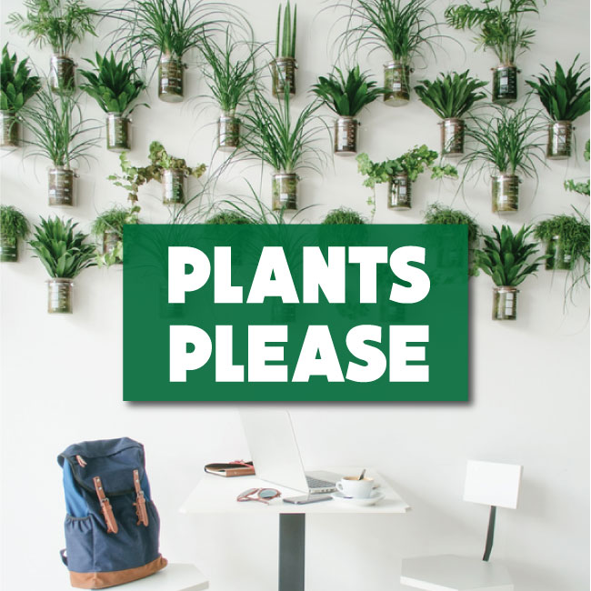 FIVE REASONS YOU NEED PLANTS IN YOUR OFFICE